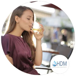 Gastronomia y agua filtracion HDM